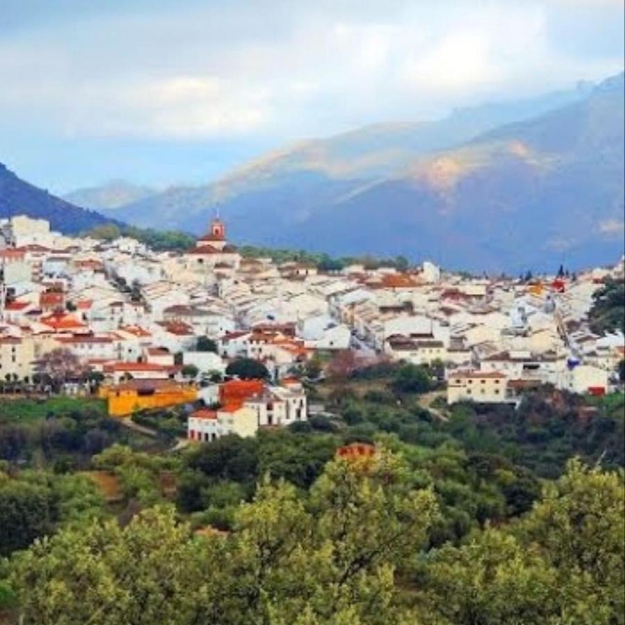 Casa De Tita Dolores Cortes de la Frontera Eksteriør billede
